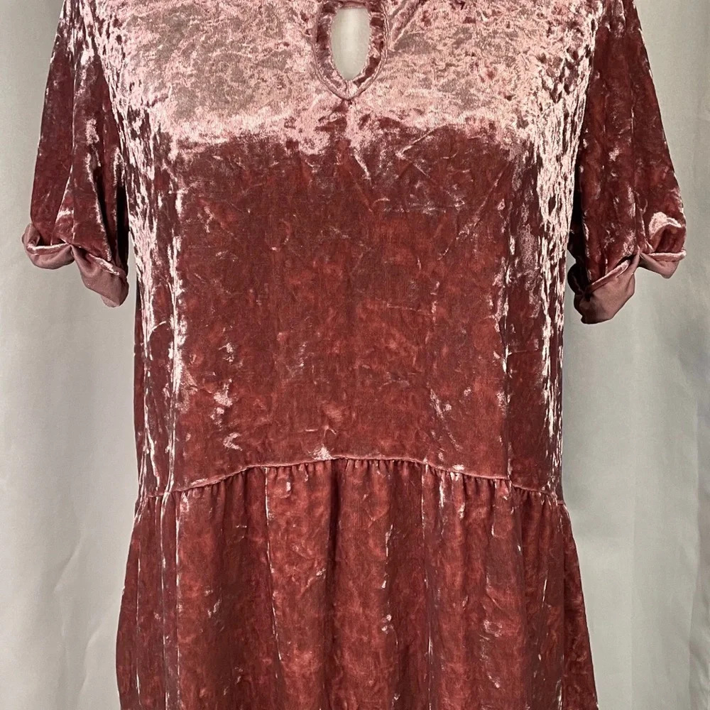 Altar'd State Pink‎ Velvet Blouse